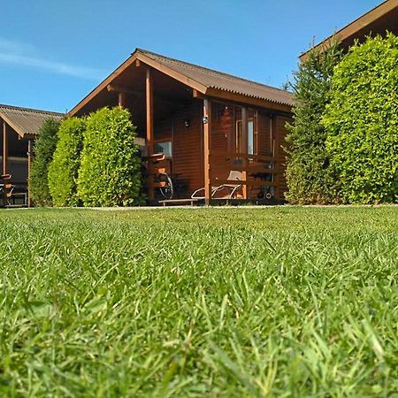 Domki Letniskowe Alma, Wicie Wicie  Dış mekan fotoğraf